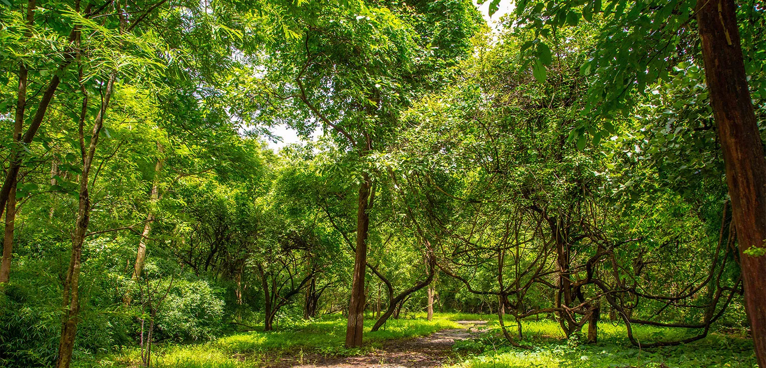 Purna Wildlife Sanctuary